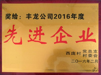 豐龍公司2016年度先進企業